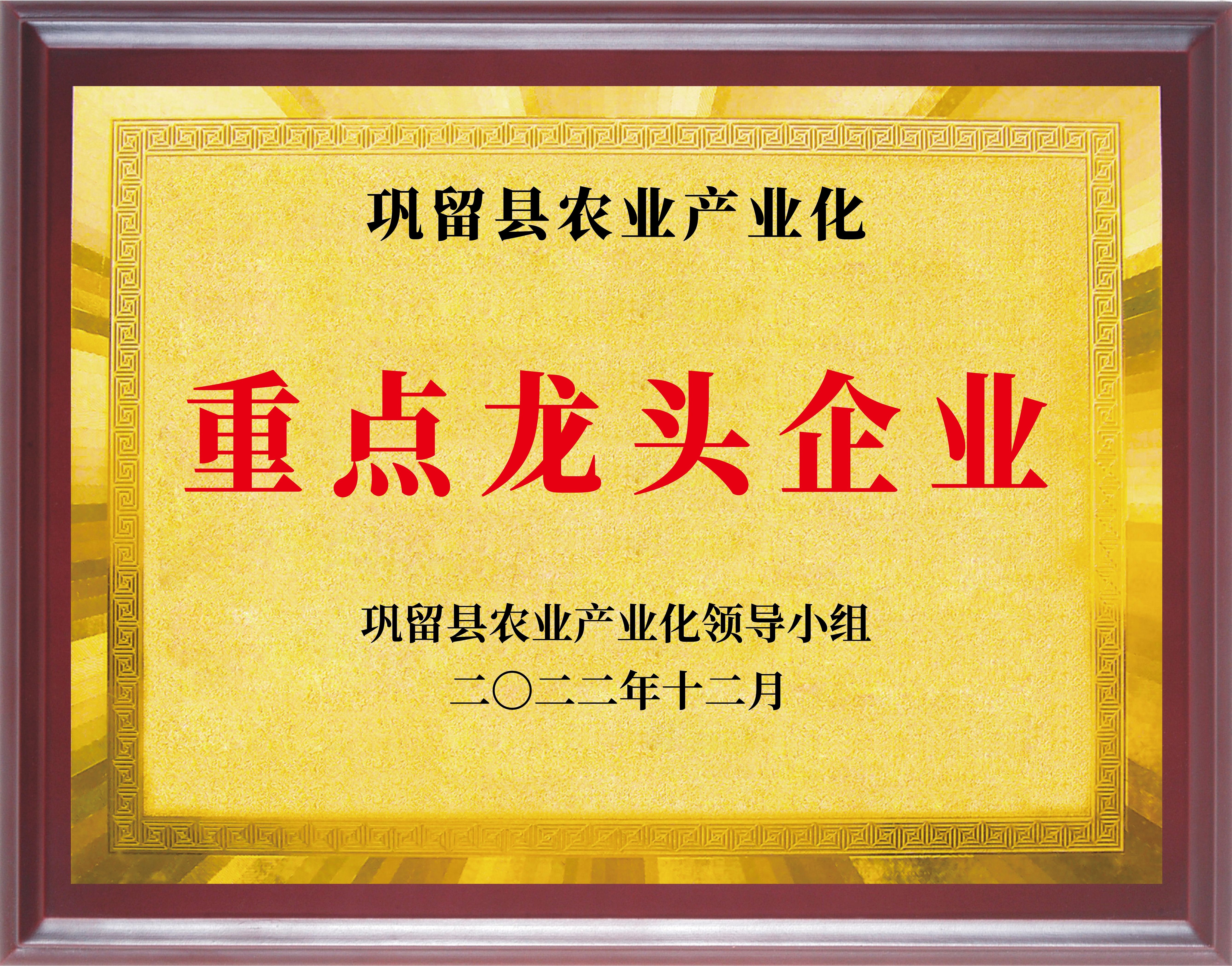 巩留县农业产业化重点龙头企业